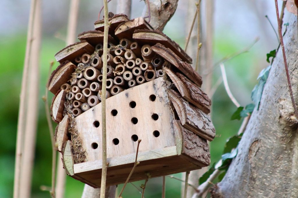 Crafting Captivating Headlines: Your awesome post title goes here insect hotel, bee hotel, insect repellent, insect house, environmental protection, natural reserve, close up, insect hotel, insect hotel, bee hotel, bee hotel, bee hotel, bee hotel, bee hotel