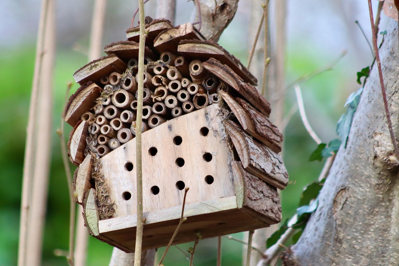 Crafting Captivating Headlines: Your awesome post title goes here insect hotel, bee hotel, insect repellent, insect house, environmental protection, natural reserve, close up, insect hotel, insect hotel, bee hotel, bee hotel, bee hotel, bee hotel, bee hotel