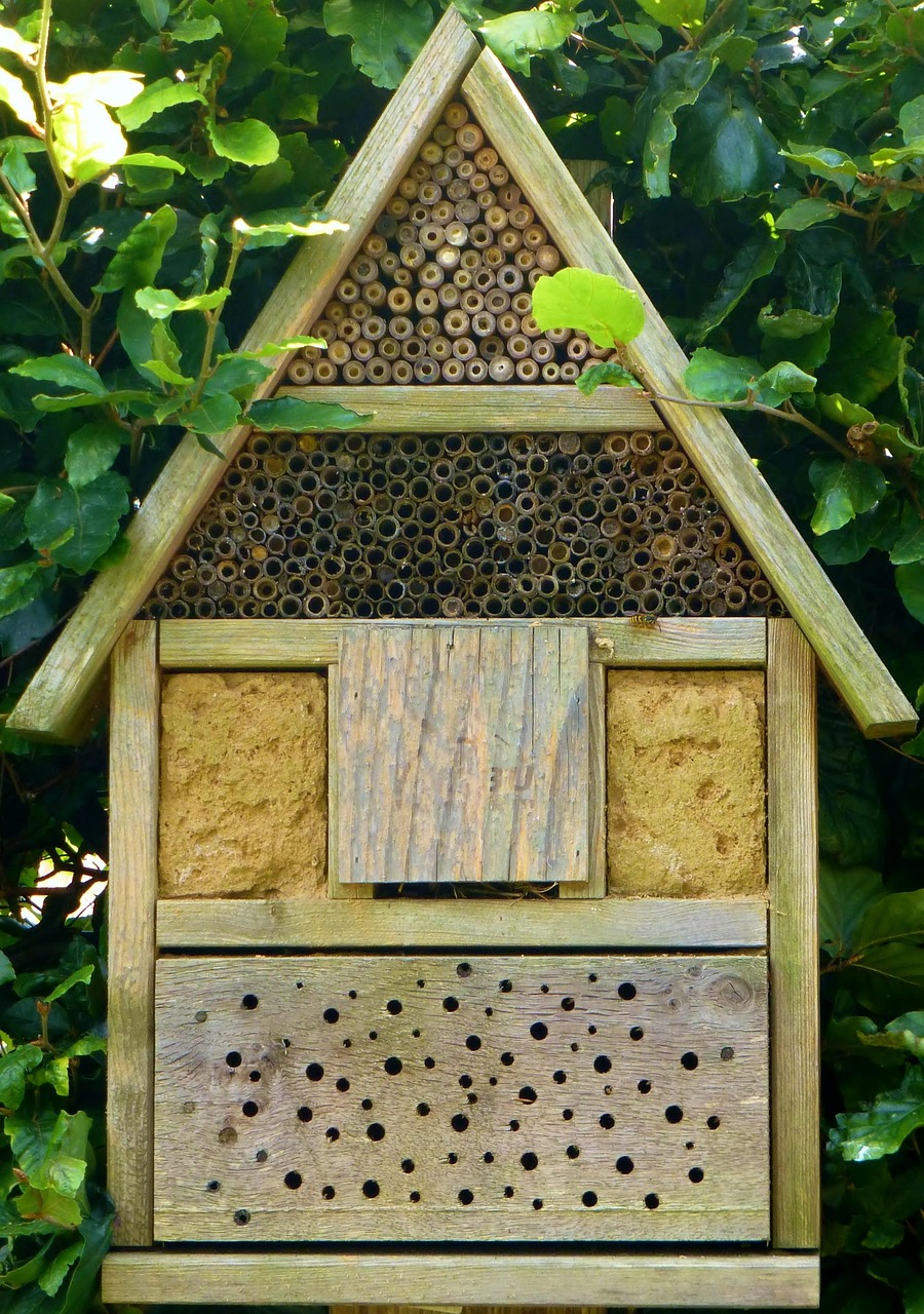 insect hotel, bees, block of wood, bee hotel, insects, wood, nature, wild bees, wild bee hotel, natural reserve, insect hotel, insect hotel, bee hotel, bee hotel, bee hotel, bee hotel, bee hotel